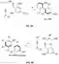 Fig. 09 - METHODS AND COMPOSITIONS FOR SUBSTITUTED AXIALLY-CHIRAL CANNABINOL ANALOGS