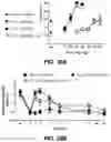 Fig. 31 - METHODS AND COMPOSITIONS FOR SUBSTITUTED AXIALLY-CHIRAL CANNABINOL ANALOGS