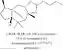 Fig. 07 - Amber odorant