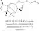 Fig. 08 - Amber odorant