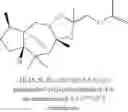 Fig. 14 - Amber odorant