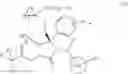 Fig. 28 - ISOINDOLINONE INHIBITORS OF THE MDM2-P53 INTERACTION HAVING ANTICANCER ACTIVITY