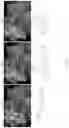 Fig. 02 - HCV protease inhibitors
