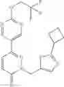 Fig. 156 - Pyridazinone compounds and uses thereof