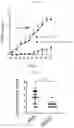 Fig. 05 - Small molecule inhibitors of shared epitope-calreticulin interactions and methods of use