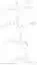 Fig. 185 - KIF18A inhibitors
