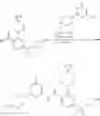 Fig. 306 - KIF18A inhibitors