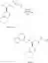 Fig. 23 - SUBSTITUTED PYRROLIDINE AMIDES V