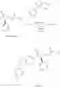 Fig. 26 - SUBSTITUTED PYRROLIDINE AMIDES IV