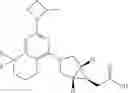 Fig. 10 - HEXONE GLUCOKINASE INHIBITOR AND USE THEREOF