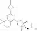 Fig. 13 - HEXONE GLUCOKINASE INHIBITOR AND USE THEREOF