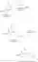 Fig. 144 - HEXONE GLUCOKINASE INHIBITOR AND USE THEREOF