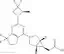 Fig. 20 - HEXONE GLUCOKINASE INHIBITOR AND USE THEREOF