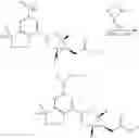 Fig. 60 - HEXONE GLUCOKINASE INHIBITOR AND USE THEREOF