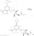 Fig. 61 - HEXONE GLUCOKINASE INHIBITOR AND USE THEREOF