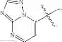 Fig. 441 - BICYCLIC ETHER O-GLYCOPROTEIN-2-ACETAMIDO-2-DEOXY-3-D-GLUCOPYRANOSIDASE INHIBITORS