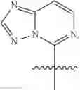 Fig. 495 - BICYCLIC ETHER O-GLYCOPROTEIN-2-ACETAMIDO-2-DEOXY-3-D-GLUCOPYRANOSIDASE INHIBITORS