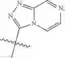 Fig. 95 - BICYCLIC ETHER O-GLYCOPROTEIN-2-ACETAMIDO-2-DEOXY-3-D-GLUCOPYRANOSIDASE INHIBITORS