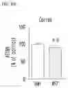 Fig. 16 - PYRROLO-PYRIDINE DERIVATIVE COMPOUND, METHOD FOR PREPARING SAME, AND PHARMACEUTICAL COMPOSITION CONTAINING SAME AS ACTIVE INGREDIENT FOR PREVENTION OR TREATMENT OF PROTEIN KINASE-RELATED DISEASES