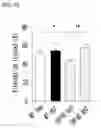 Fig. 30 - PYRROLO-PYRIDINE DERIVATIVE COMPOUND, METHOD FOR PREPARING SAME, AND PHARMACEUTICAL COMPOSITION CONTAINING SAME AS ACTIVE INGREDIENT FOR PREVENTION OR TREATMENT OF PROTEIN KINASE-RELATED DISEASES