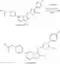 Fig. 304 - Autotaxin inhibitor compounds