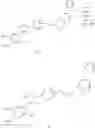 Fig. 112 - Acetamido-phenyltetrazole derivatives and methods of using the same