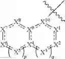 Fig. 504 - Viral replication inhibitors