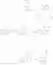 Fig. 66 - Viral replication inhibitors