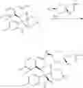 Fig. 105 - DISPIROPYRROLIDINE DERIVATIVES