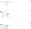 Fig. 13 - DISPIROPYRROLIDINE DERIVATIVES