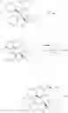 Fig. 137 - DISPIROPYRROLIDINE DERIVATIVES