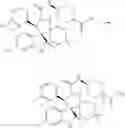Fig. 202 - DISPIROPYRROLIDINE DERIVATIVES