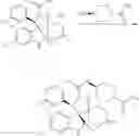 Fig. 206 - DISPIROPYRROLIDINE DERIVATIVES