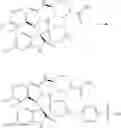 Fig. 212 - DISPIROPYRROLIDINE DERIVATIVES