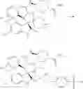 Fig. 213 - DISPIROPYRROLIDINE DERIVATIVES