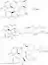 Fig. 32 - DISPIROPYRROLIDINE DERIVATIVES