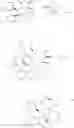 Fig. 40 - DISPIROPYRROLIDINE DERIVATIVES