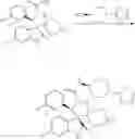 Fig. 73 - DISPIROPYRROLIDINE DERIVATIVES