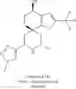 Fig. 1052 - Inhibitors of APOL1 and methods of using same