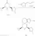 Fig. 1463 - Inhibitors of APOL1 and methods of using same