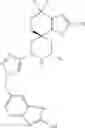 Fig. 395 - Inhibitors of APOL1 and methods of using same