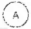 Fig. 02 - BICYCLIC ROR-GAMMA MODULATORS
