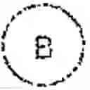 Fig. 03 - BICYCLIC ROR-GAMMA MODULATORS