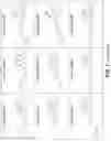 Fig. 04 - Modulators of Cystic Fibrosis Transmembrane Conductance regulator, pharmaceutical compositions, methods of treatment, and process for making the modulators