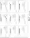 Fig. 07 - Modulators of Cystic Fibrosis Transmembrane Conductance regulator, pharmaceutical compositions, methods of treatment, and process for making the modulators