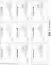Fig. 08 - Modulators of Cystic Fibrosis Transmembrane Conductance regulator, pharmaceutical compositions, methods of treatment, and process for making the modulators