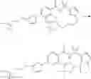 Fig. 1019 - Modulators of Cystic Fibrosis Transmembrane Conductance regulator, pharmaceutical compositions, methods of treatment, and process for making the modulators