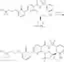 Fig. 1279 - Modulators of Cystic Fibrosis Transmembrane Conductance regulator, pharmaceutical compositions, methods of treatment, and process for making the modulators