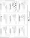 Fig. 25 - Modulators of Cystic Fibrosis Transmembrane Conductance regulator, pharmaceutical compositions, methods of treatment, and process for making the modulators