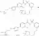 Fig. 302 - Modulators of Cystic Fibrosis Transmembrane Conductance regulator, pharmaceutical compositions, methods of treatment, and process for making the modulators